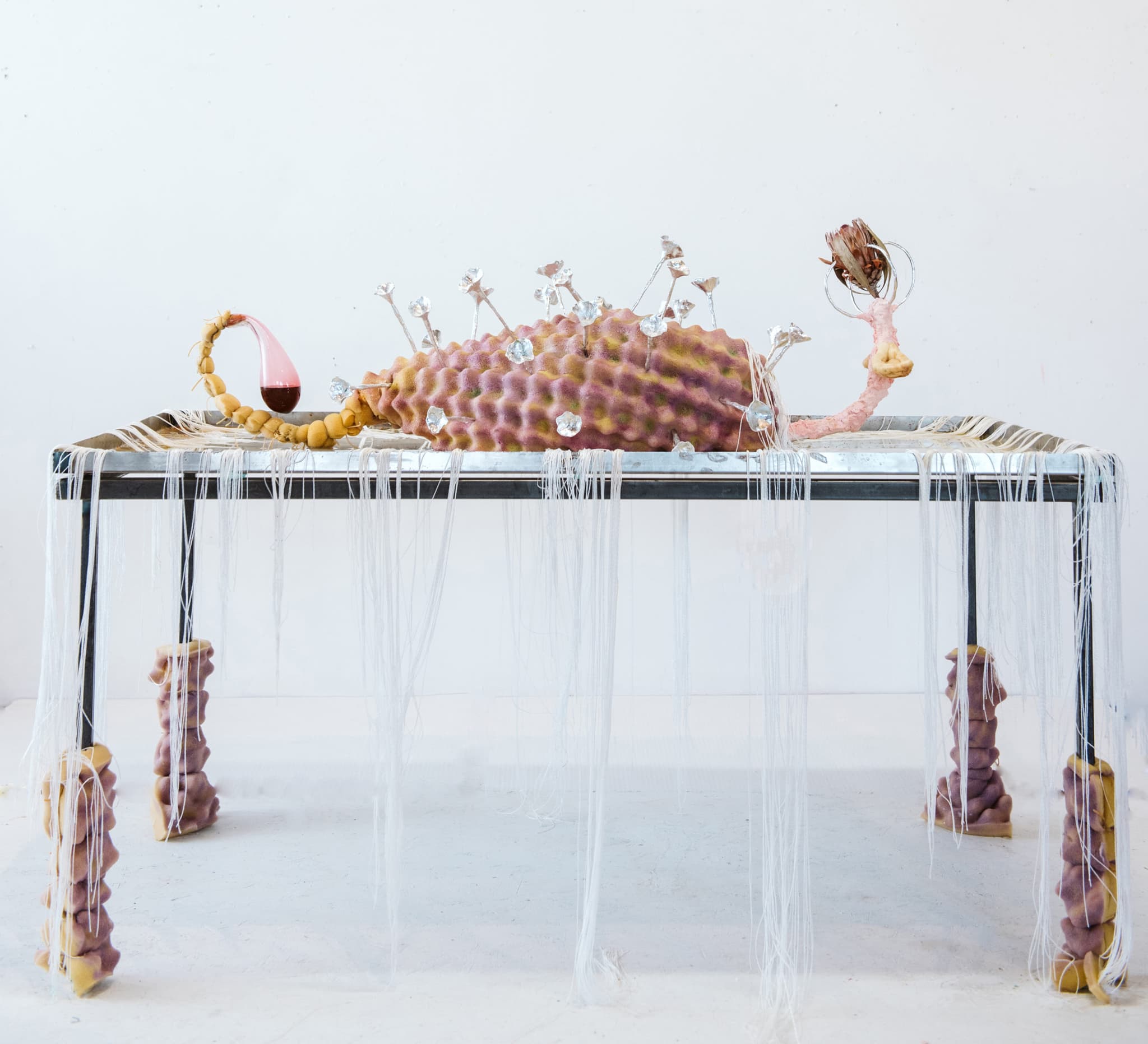 A table with an artistic display by Estefania Puerta on top against a white background.